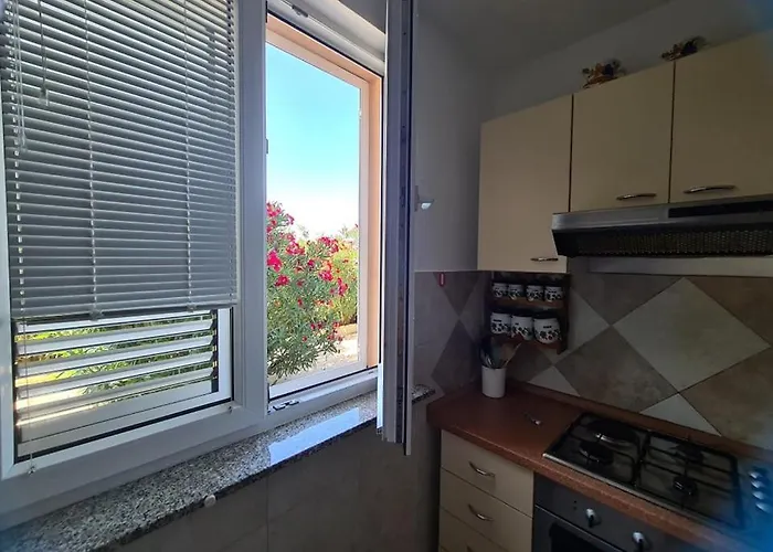 Apartments Jela