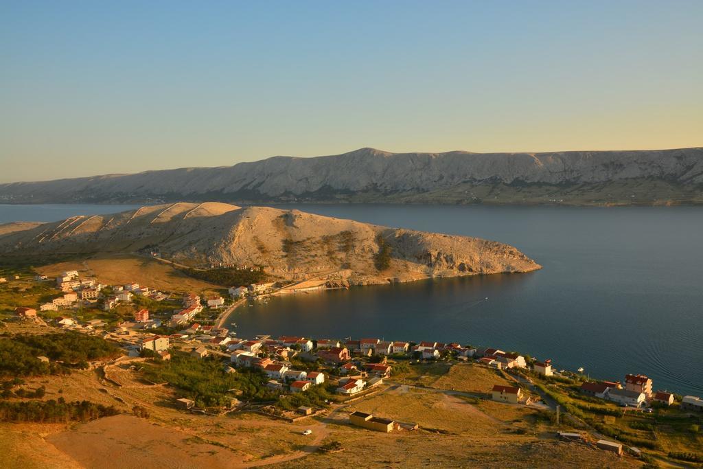 Jela * Metajna